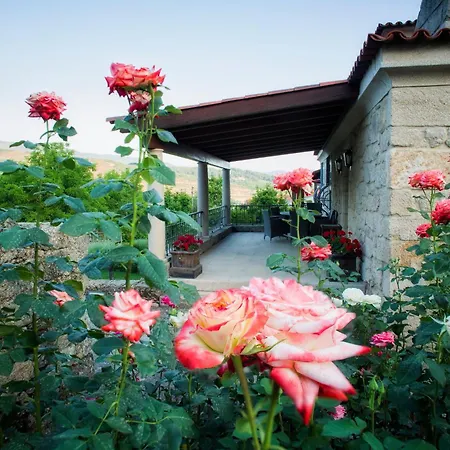 ゲストハウス Casas Da Memoria