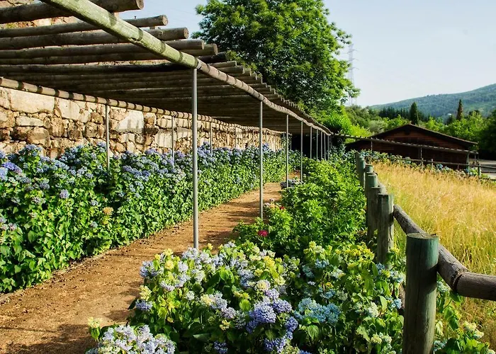 Casas Da Memoria 게스트하우스 *