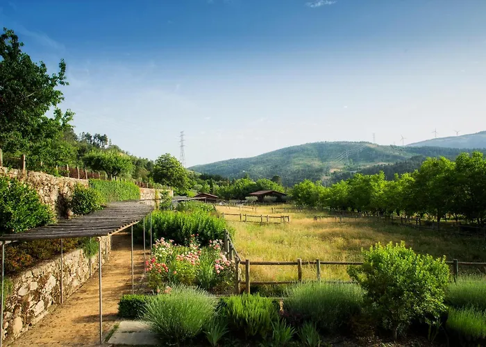 Casas Da Memoria Tarouca